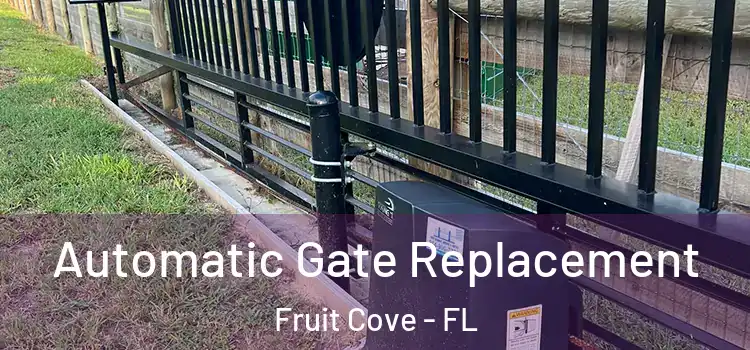 Automatic Gate Replacement Fruit Cove - FL