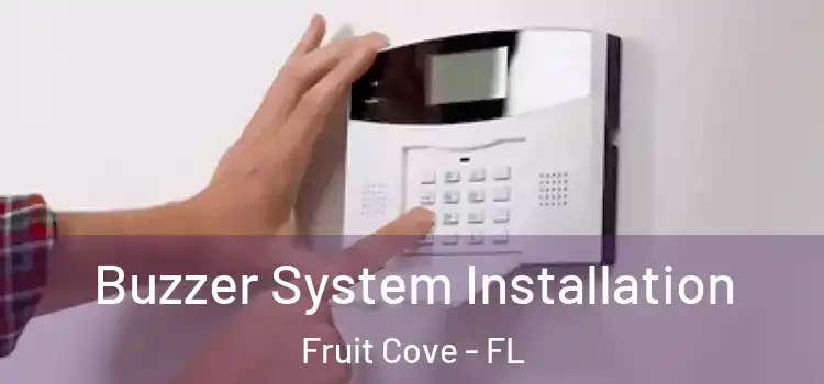 Buzzer System Installation Fruit Cove - FL