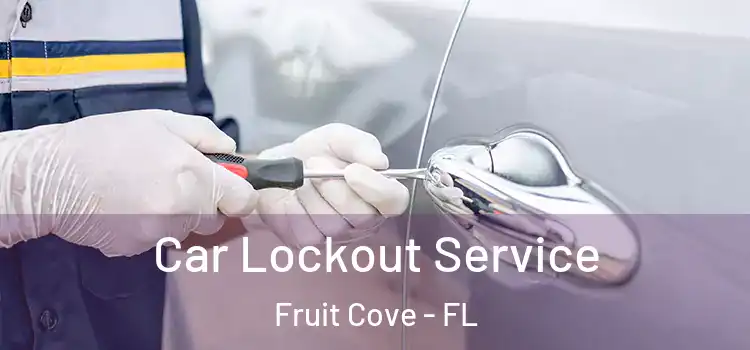 Car Lockout Service Fruit Cove - FL