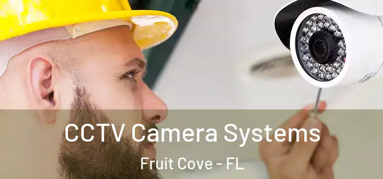 CCTV Camera Systems Fruit Cove - FL