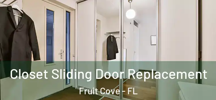 Closet Sliding Door Replacement Fruit Cove - FL