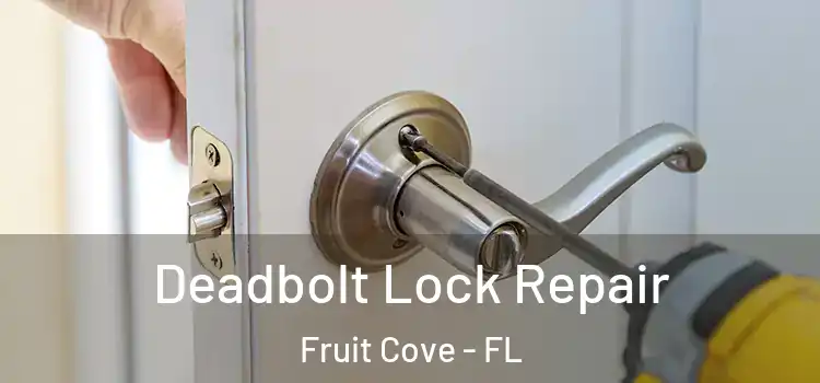 Deadbolt Lock Repair Fruit Cove - FL