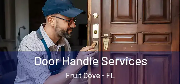 Door Handle Services Fruit Cove - FL