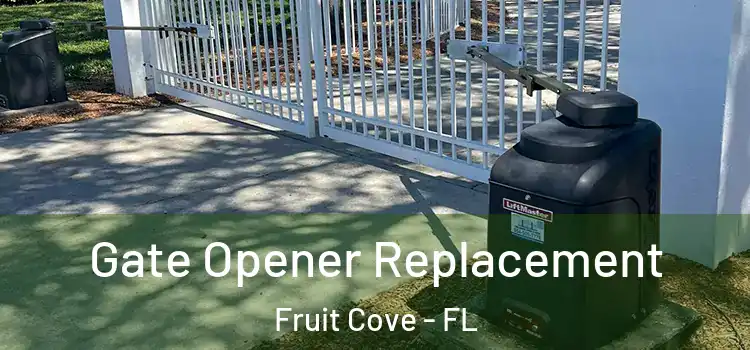 Gate Opener Replacement Fruit Cove - FL