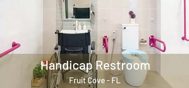 Handicap Restroom Fruit Cove - FL