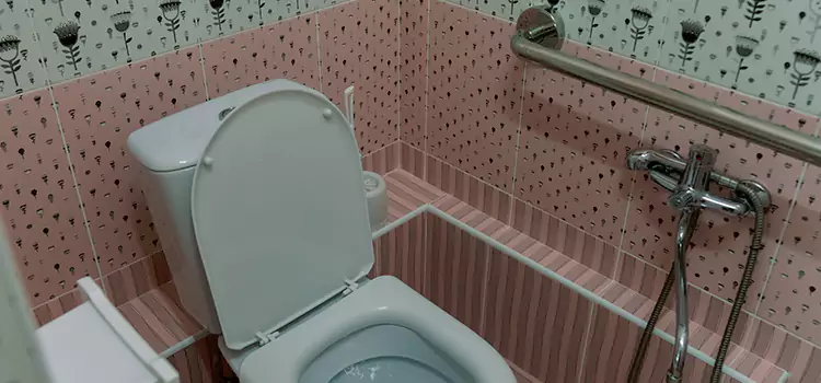 Meeting Diverse Needs With Accessible Restroom Solutions in Fruit Cove, FL
