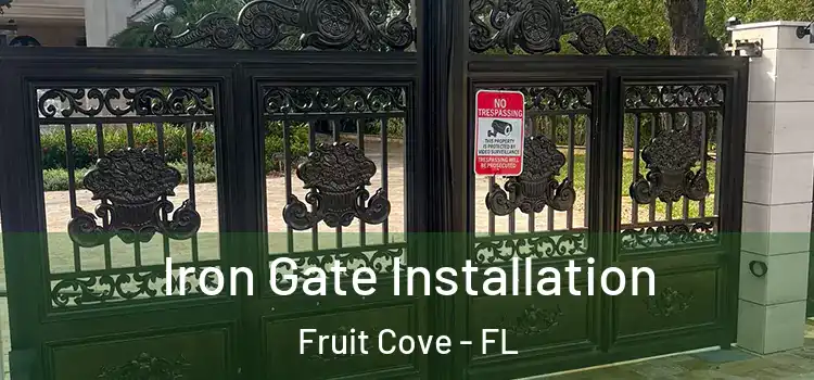 Iron Gate Installation Fruit Cove - FL