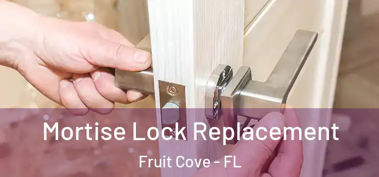 Mortise Lock Replacement Fruit Cove - FL
