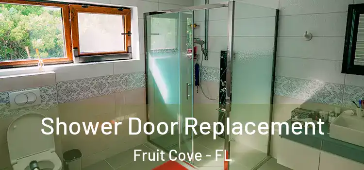 Shower Door Replacement Fruit Cove - FL