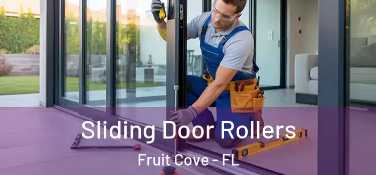 Sliding Door Rollers Fruit Cove - FL
