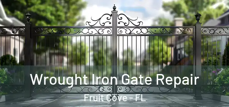 Wrought Iron Gate Repair Fruit Cove - FL